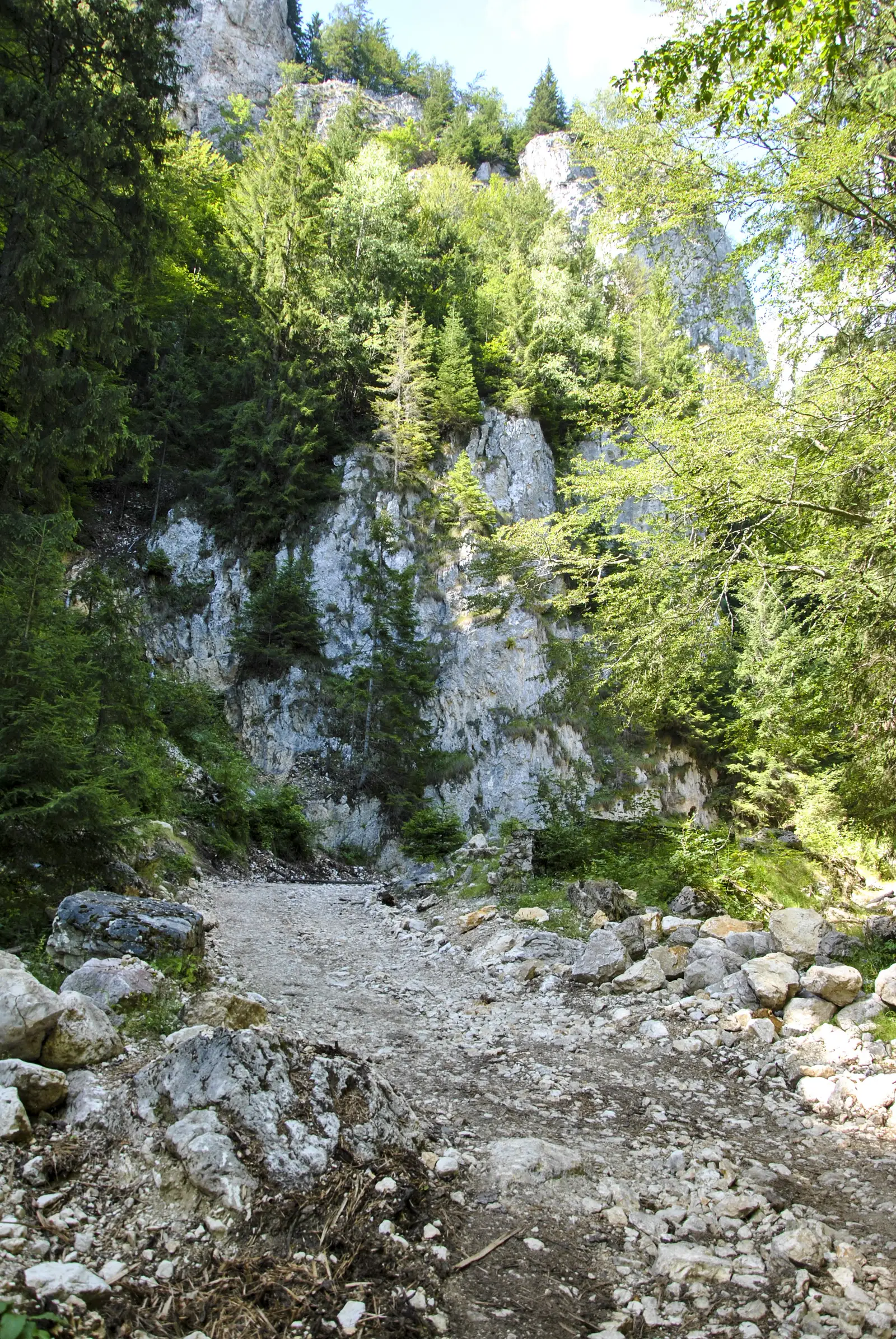 Poiana Brusturet-Cheile Brusturetului-Poiana Grind