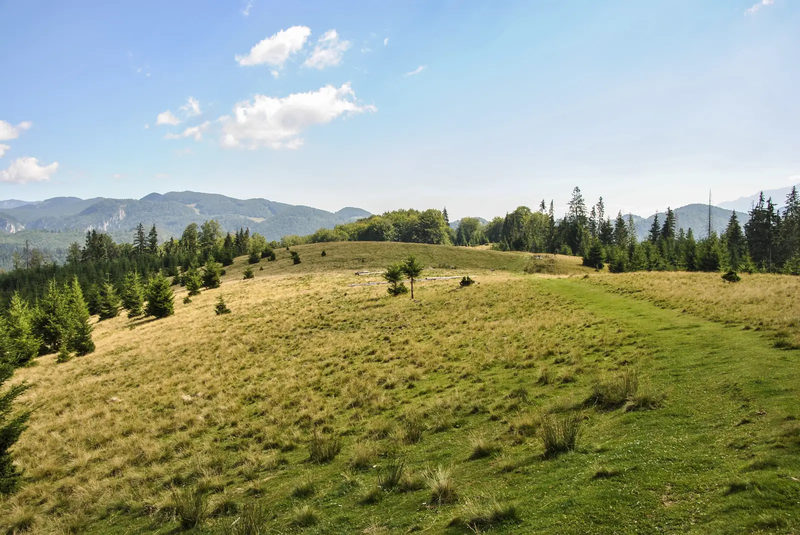 Dâmbovicioara-Muchia Frumoasei-traseul PR