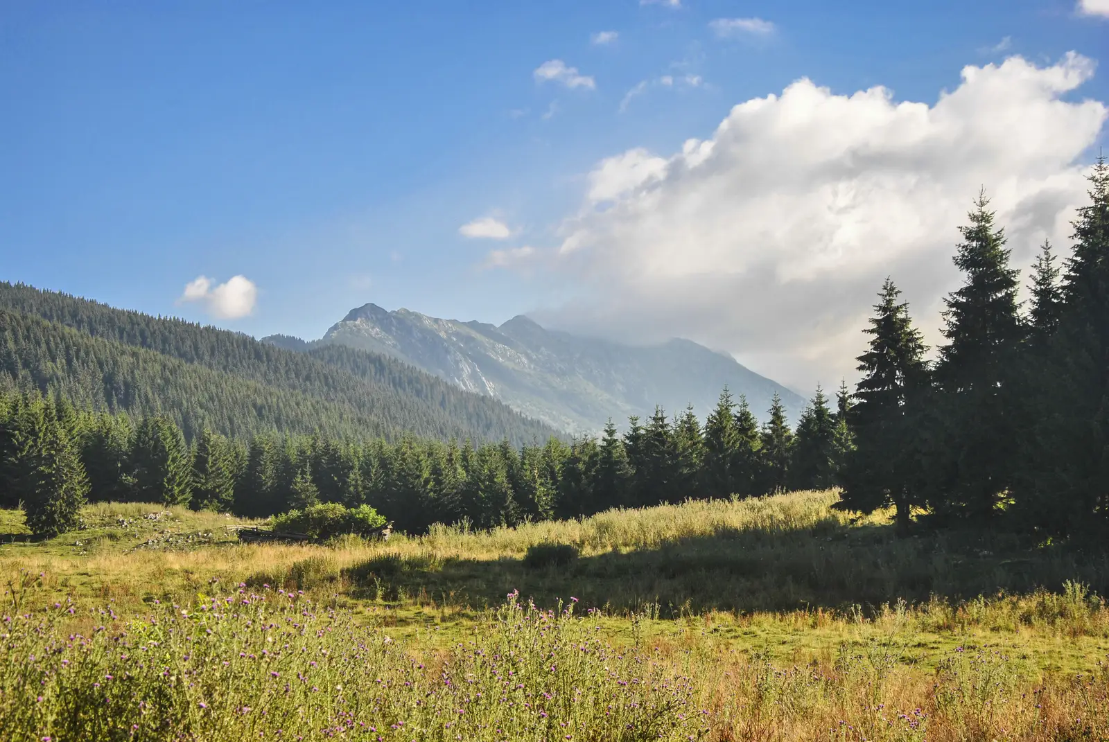 Cabana Brusturet-Cabana Pietricica-Poiana Pietricica