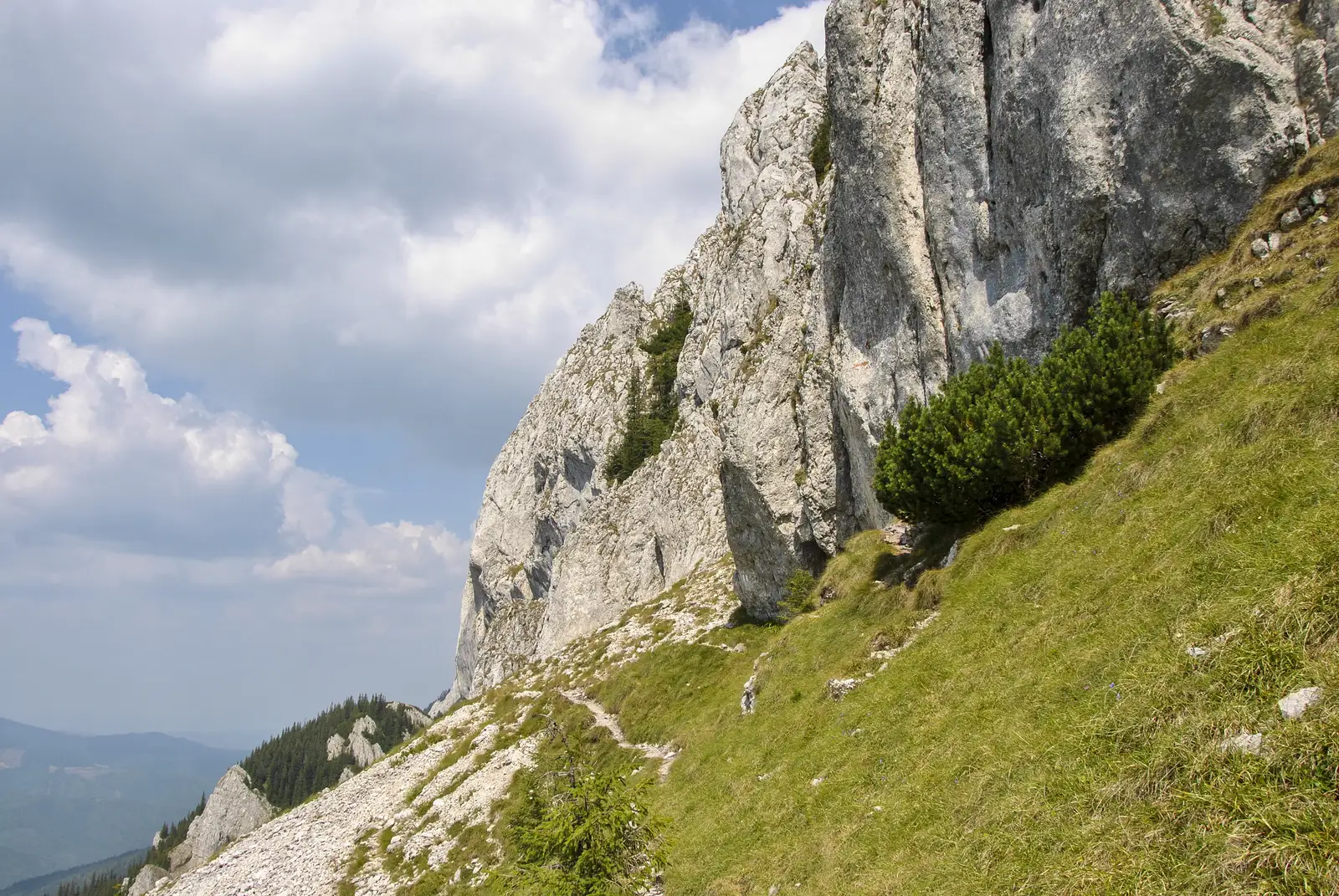 Vârful Tămaşul Mare (1735) - Şaua Tămăşel (1540 m) - sub Zaplaz