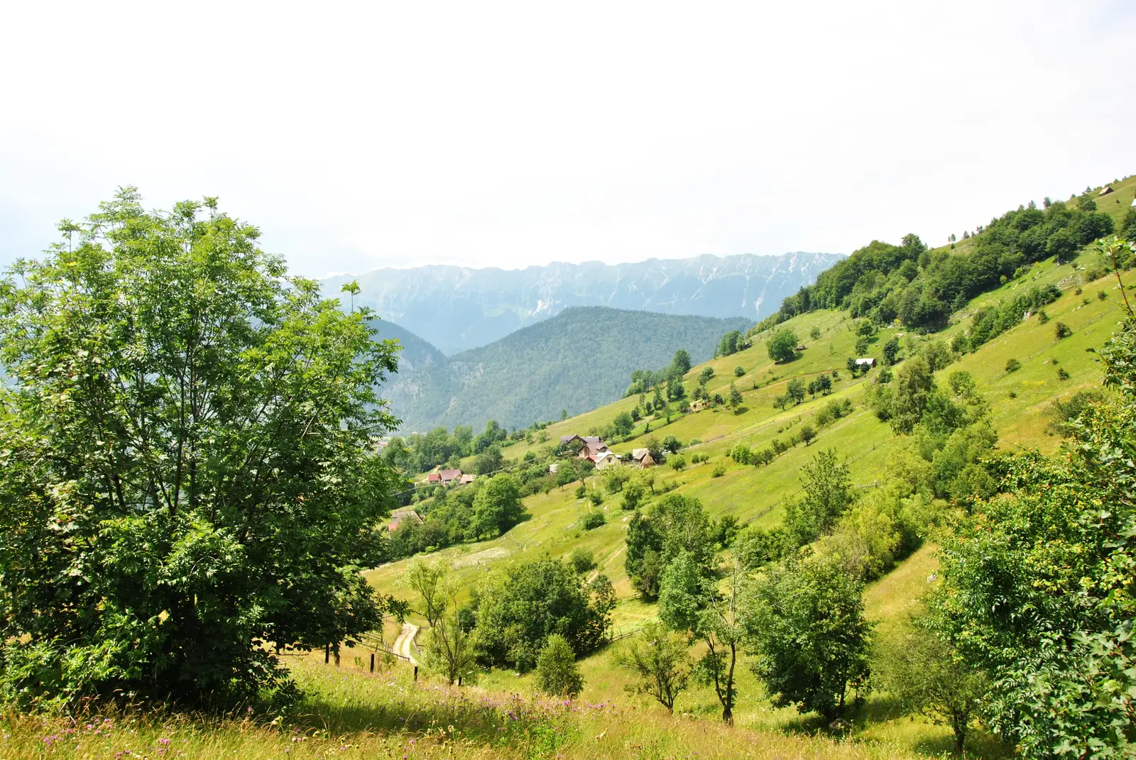 Tohăniţa-Măgura-Fântâna lui Botorog