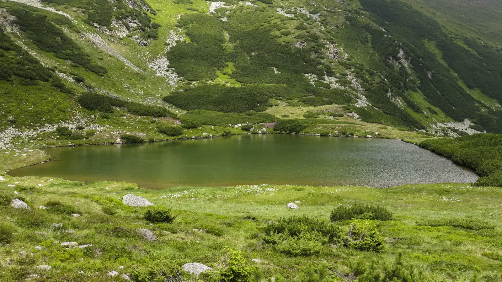 Gura Lalei - Lacul Lala Mare - Şaua Cu Lac