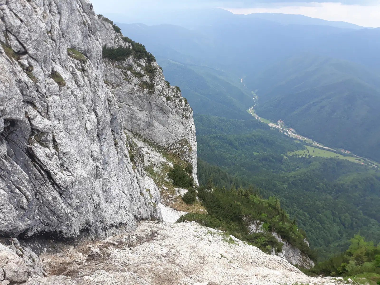 DC 50A - Padina (Podul) lui Călineţ - Refugiul Speranţelor - Vf. Ascuţit