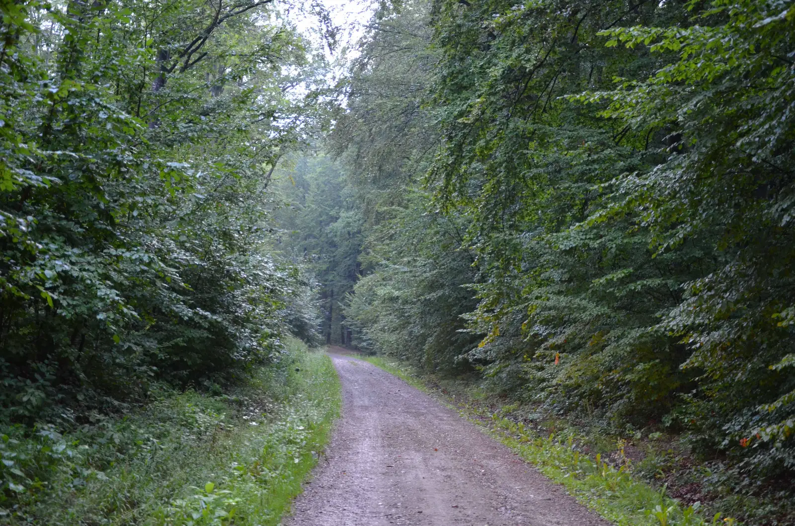 Mănăstirea Dragomirna - Călineşti - Mănăstirea Dragomirna