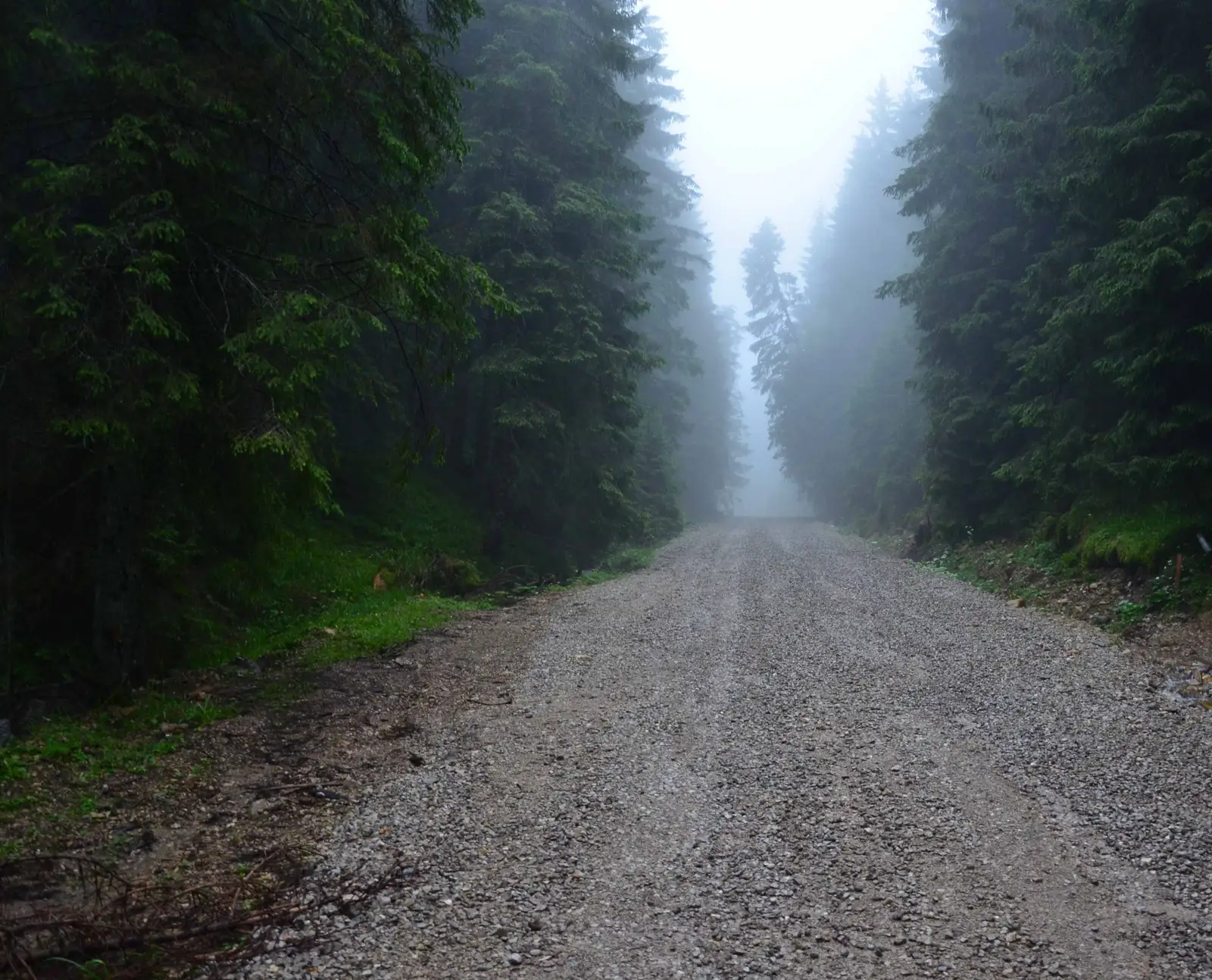 Câmpulung Moldovenesc - Pârâul Izvorul Alb - Hotel Rarău