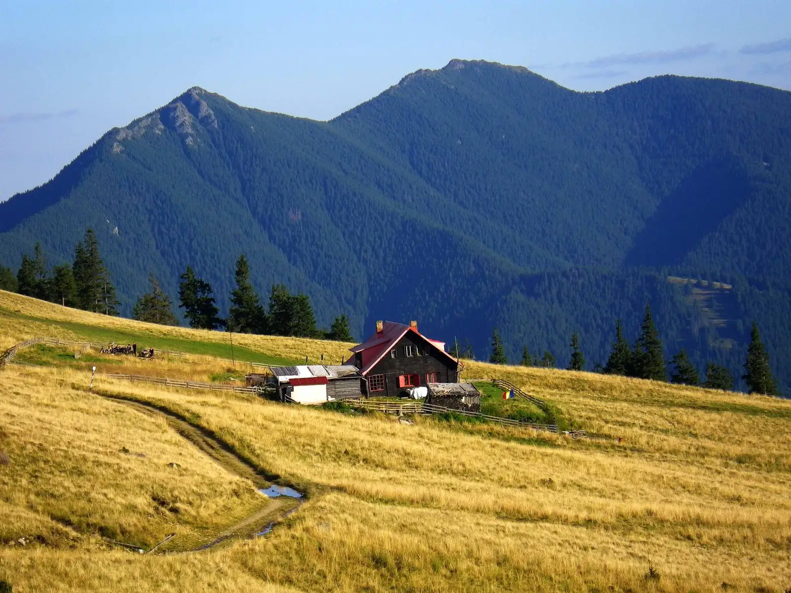 Cabana Giumalău - Poiana Ciungi - Pasul Mestecăniş