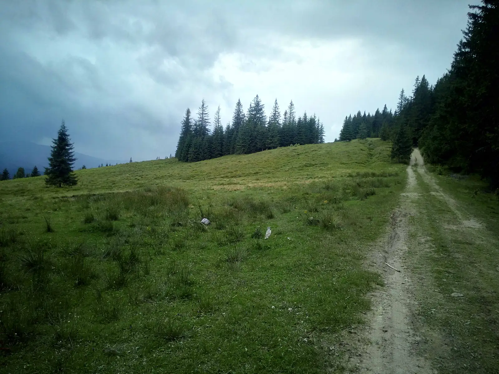 Pasul Mestecăniş - culmea Obcinei Mestecănişului - Ciocăneşti