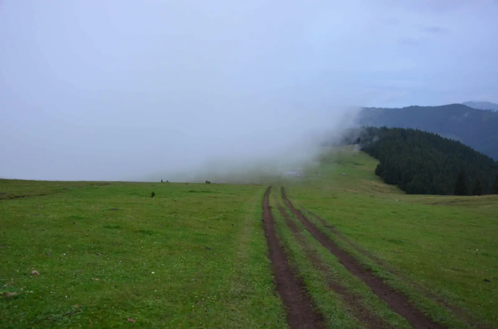 Cârlibaba - sub Vârful Omului - DN17