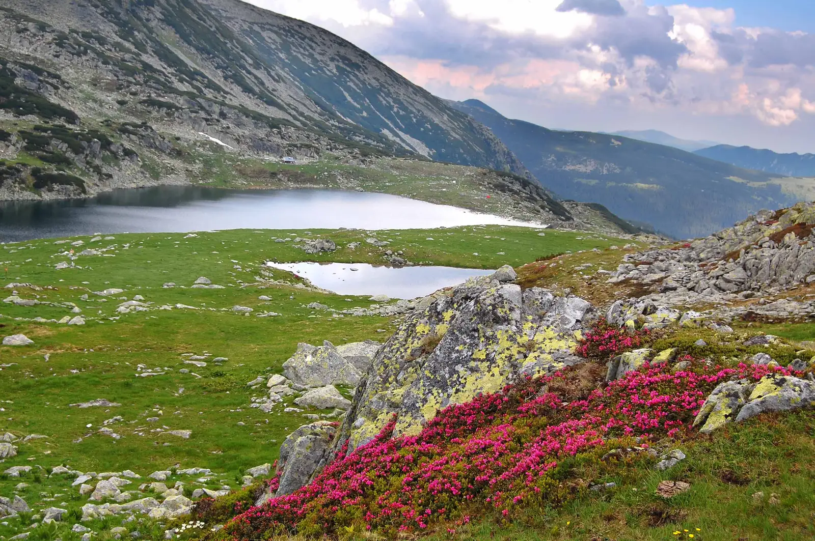 Ohaba de sub Piatră - Lacul Bucura - Câmpu lui Neag