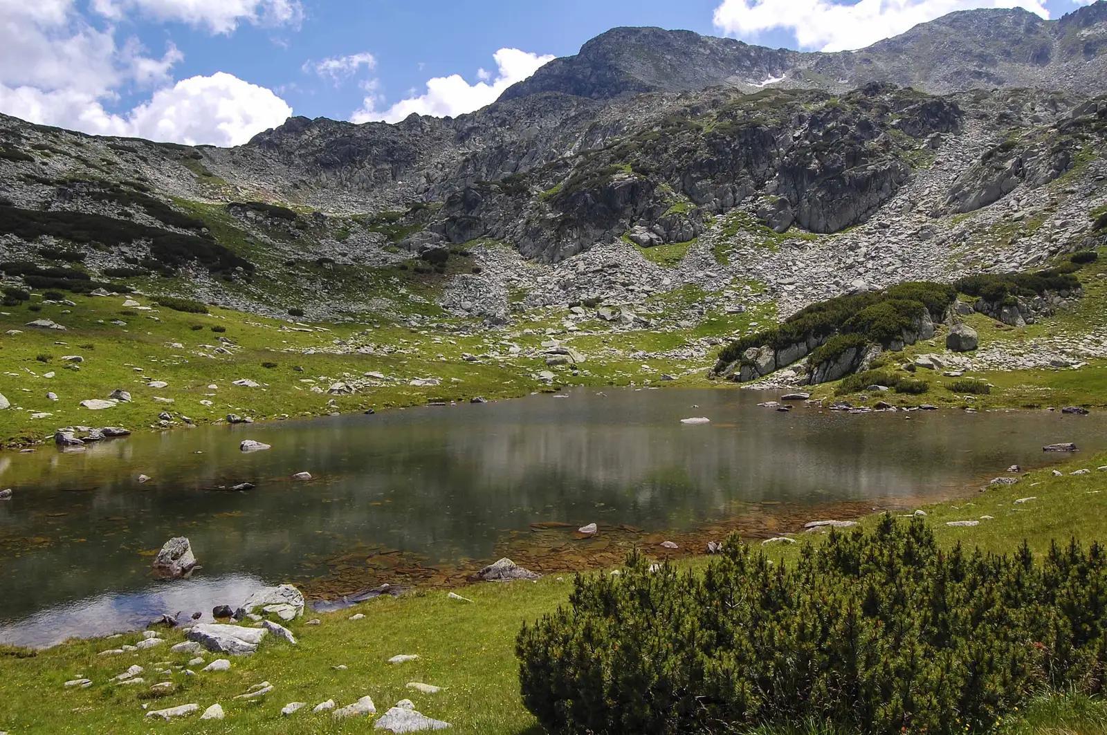 Cabana Pietrele - Valea Stânişoarei - Vârful Retezat