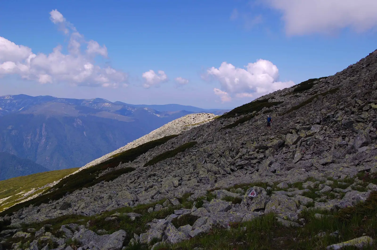 Râu de Mori - Râuşor - Culmea Prelucele - Vârful Retezat