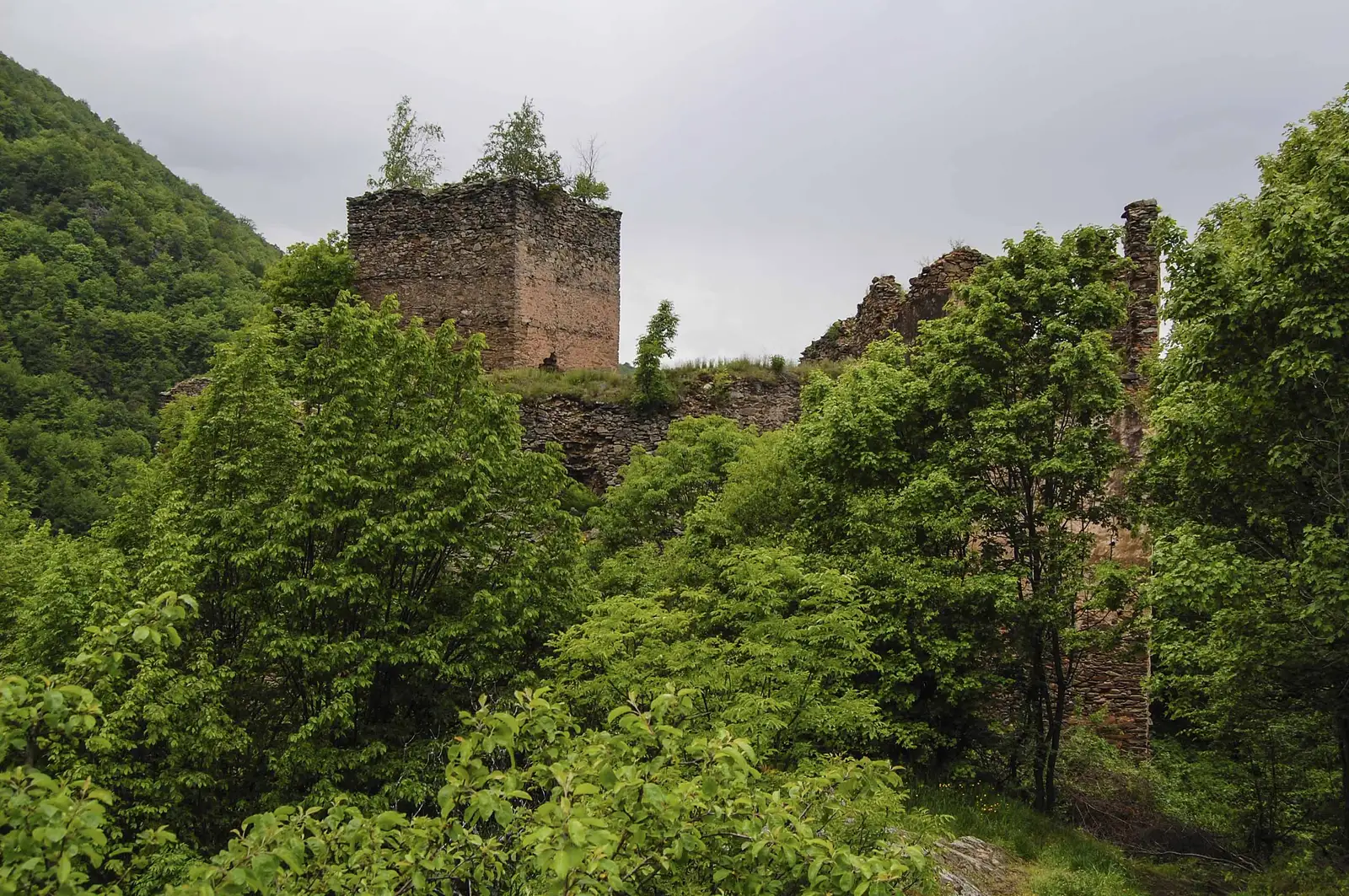 Nucşoara - Cetatea Colţ - Suseni