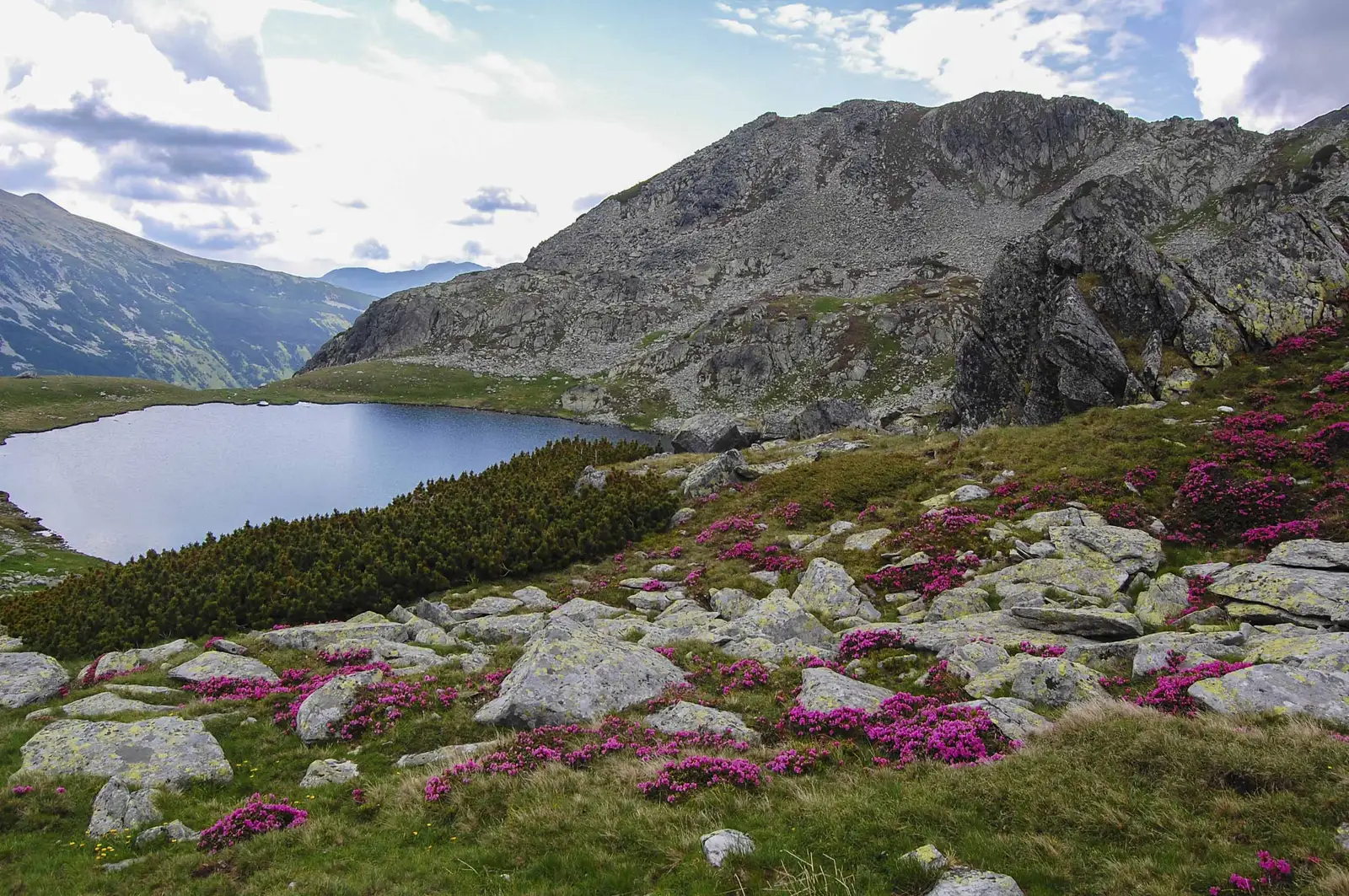 Brazi - Barajul Gura Apei - Poiana Pelegii - Şaua Pelegii