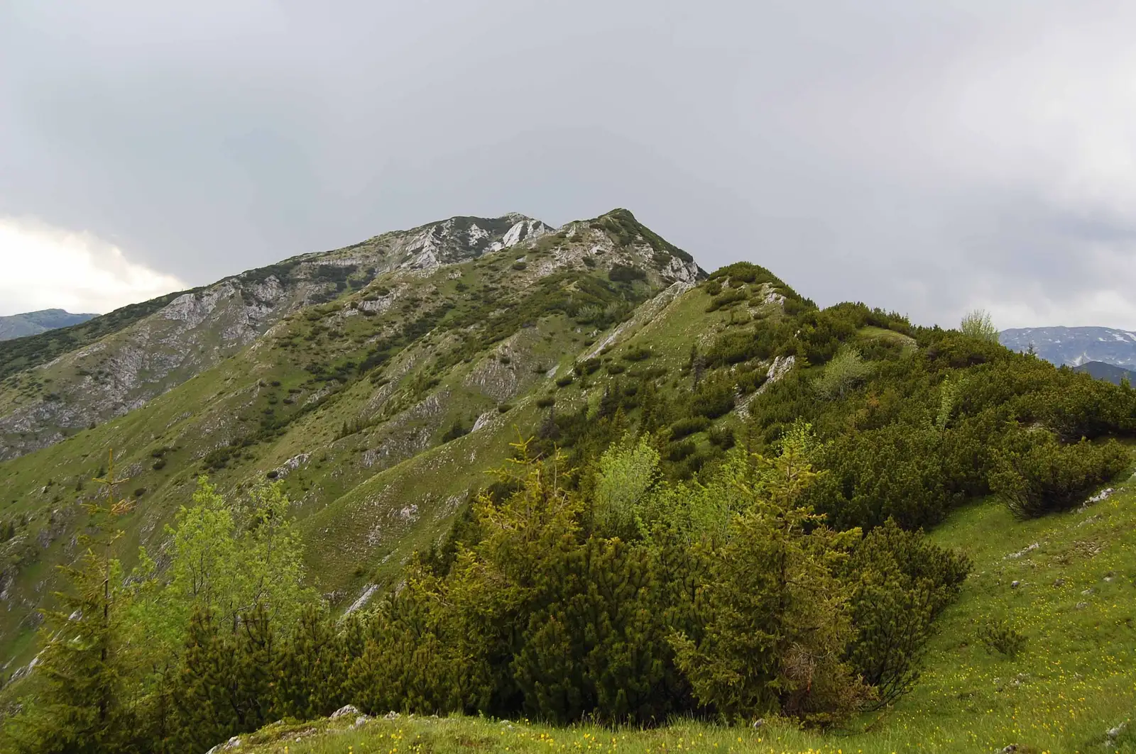 Cabana Buta - Vârful Piule - Vârful Pleşa - DN66A