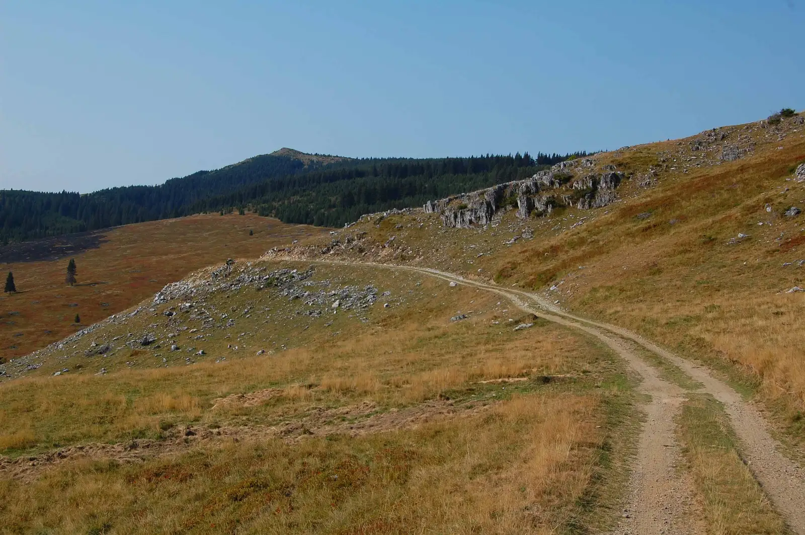Baru - Valea Baruşorului - DF Corbu - Refugiul Tulişa