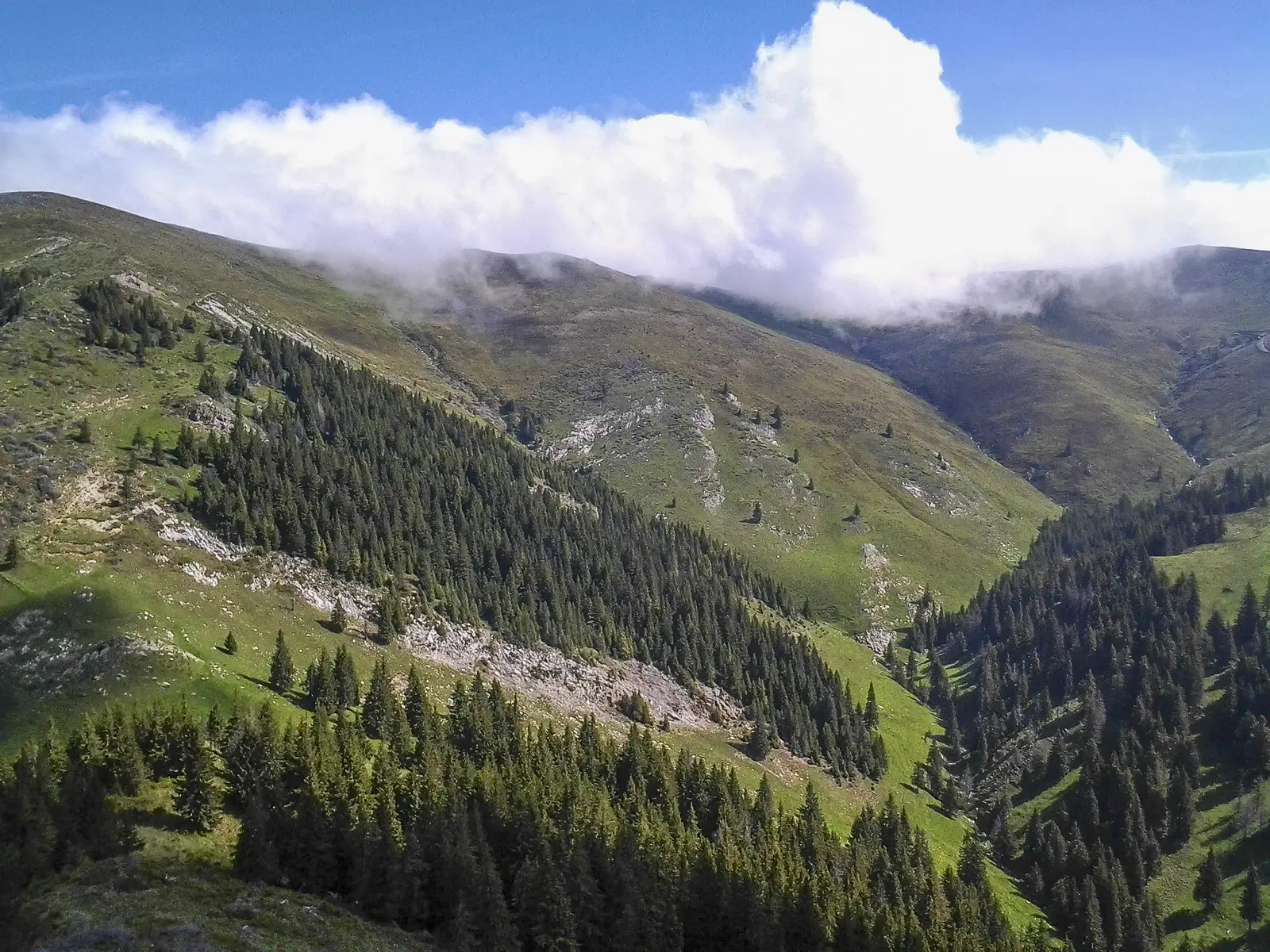 Câinenii Mici - Muntele Zănoaga - creasta principală