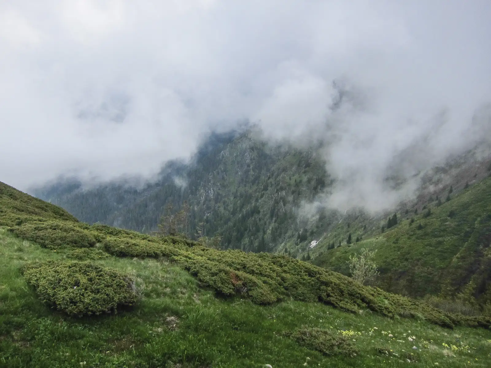 Valea Avrigului - Cabana Suru - creasta principală