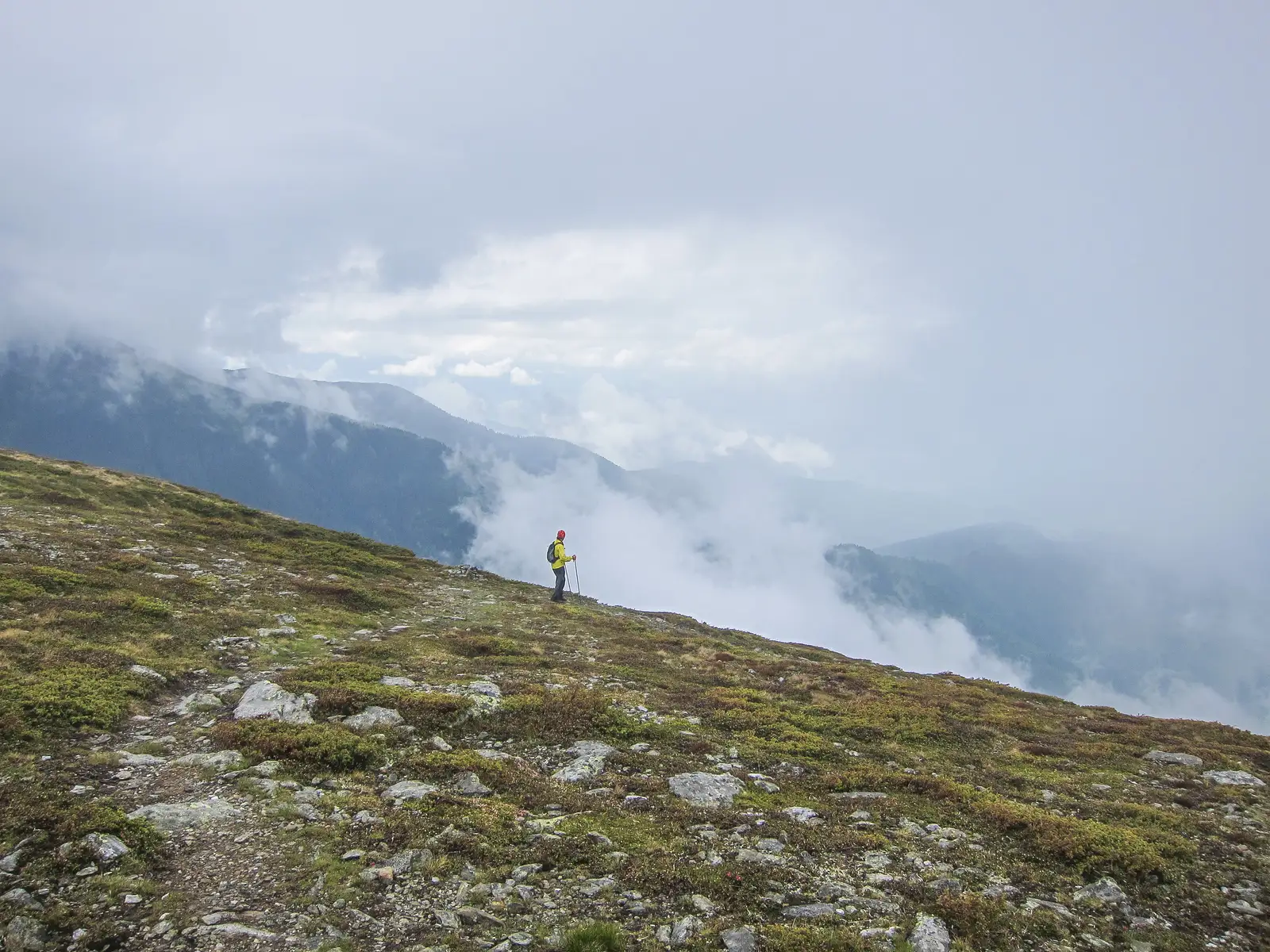 Avrig - Cabana Bârcaciu - creasta principală