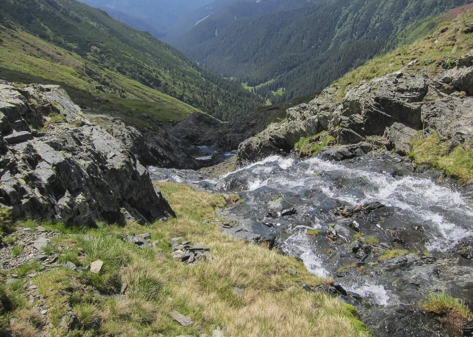 Confluenţa Pârâului Izvorul Scării cu Pârâul Izvorul Negoiului - Valea Izvorul Scării - Şaua Scării