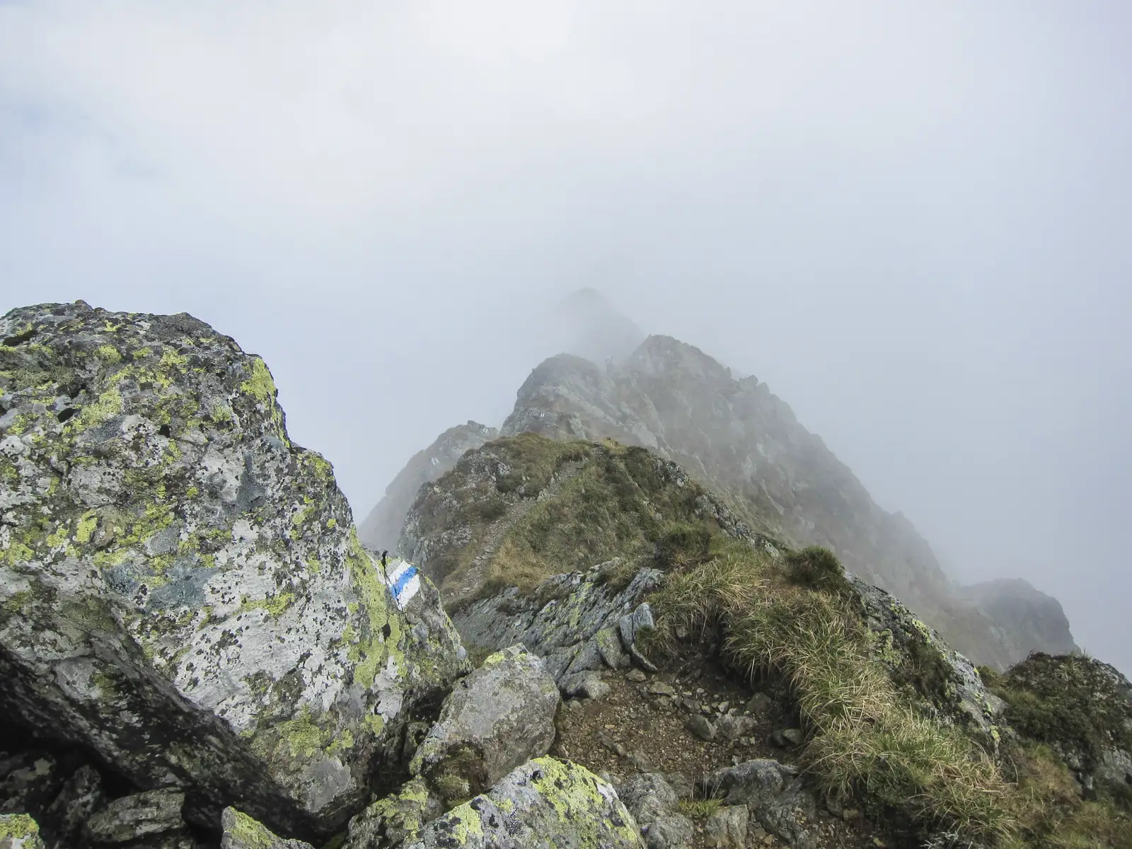 Cabana Negoiu - Muchia Şerbota - Vf. Şerbota