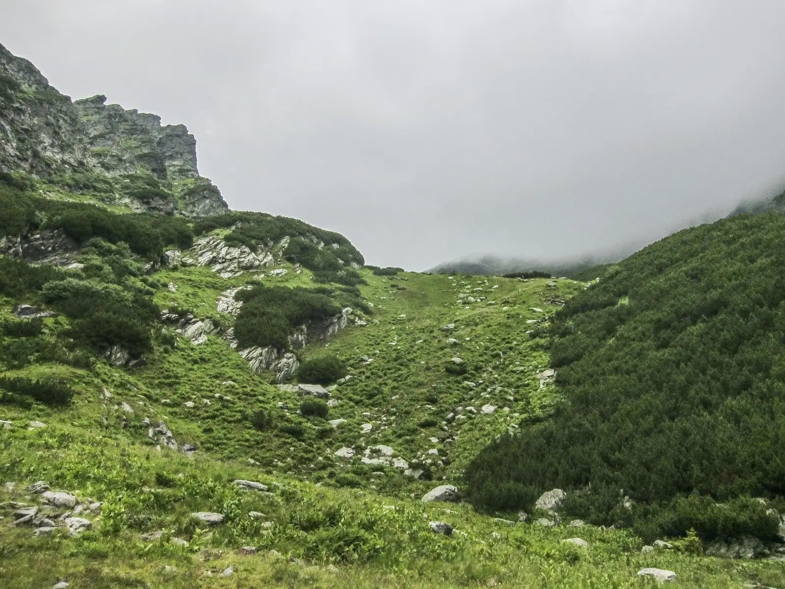 Complexul Turistic Piscul Negru - Lacul Călţun