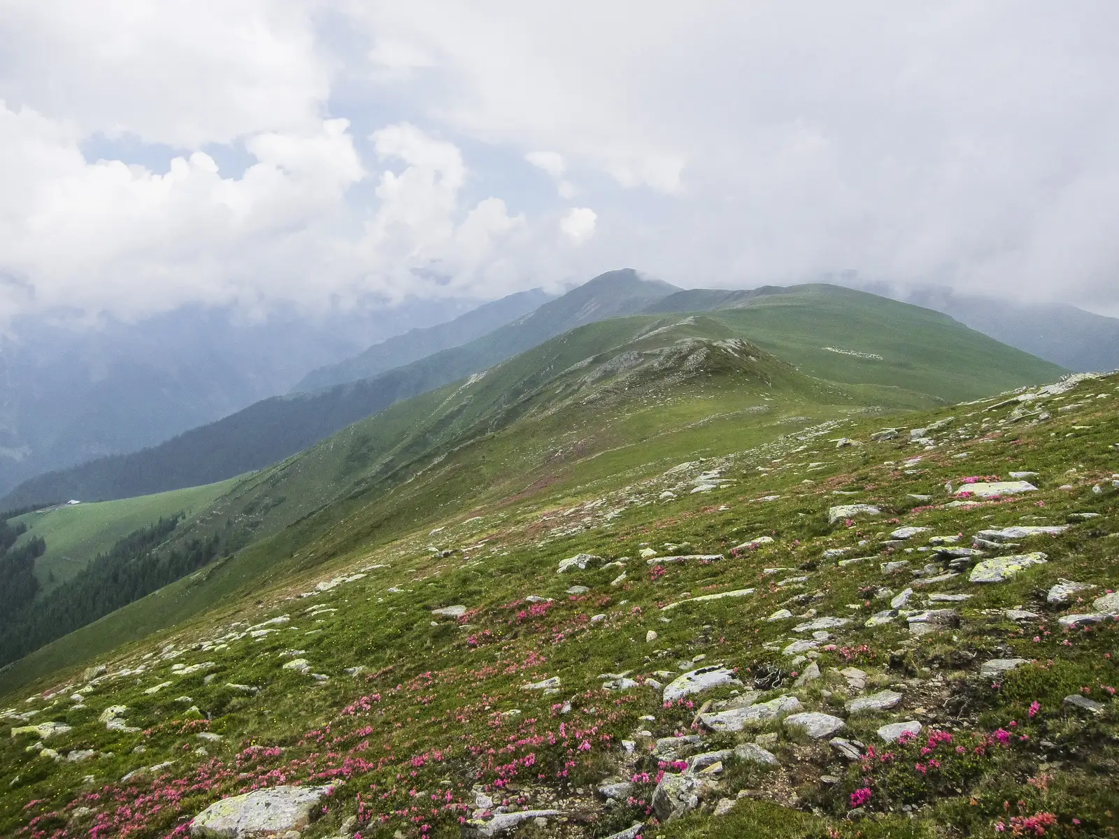 Complex turistic Piscul Negru - Vf. Piscu Negru