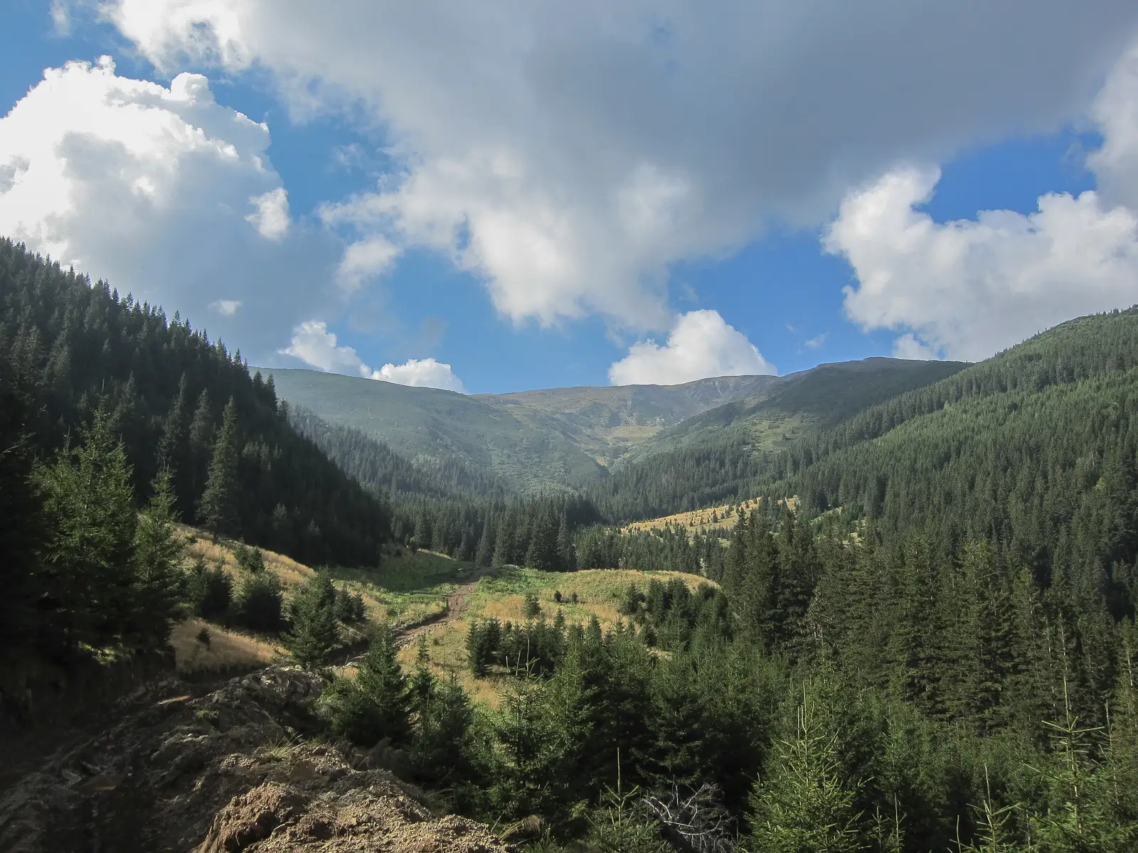 Sebeş - Valea Sebeşului - Şaua Comisu