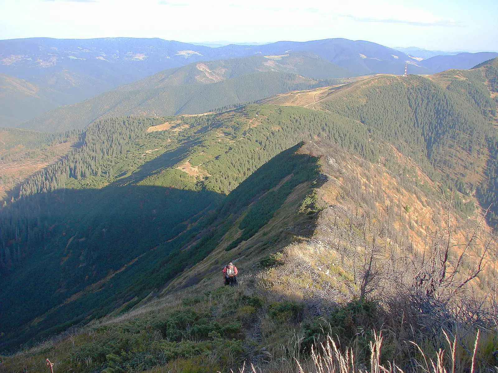 Pasul Prislop - Vf. Prislopul Cataramei - Vf. Toroiaga
