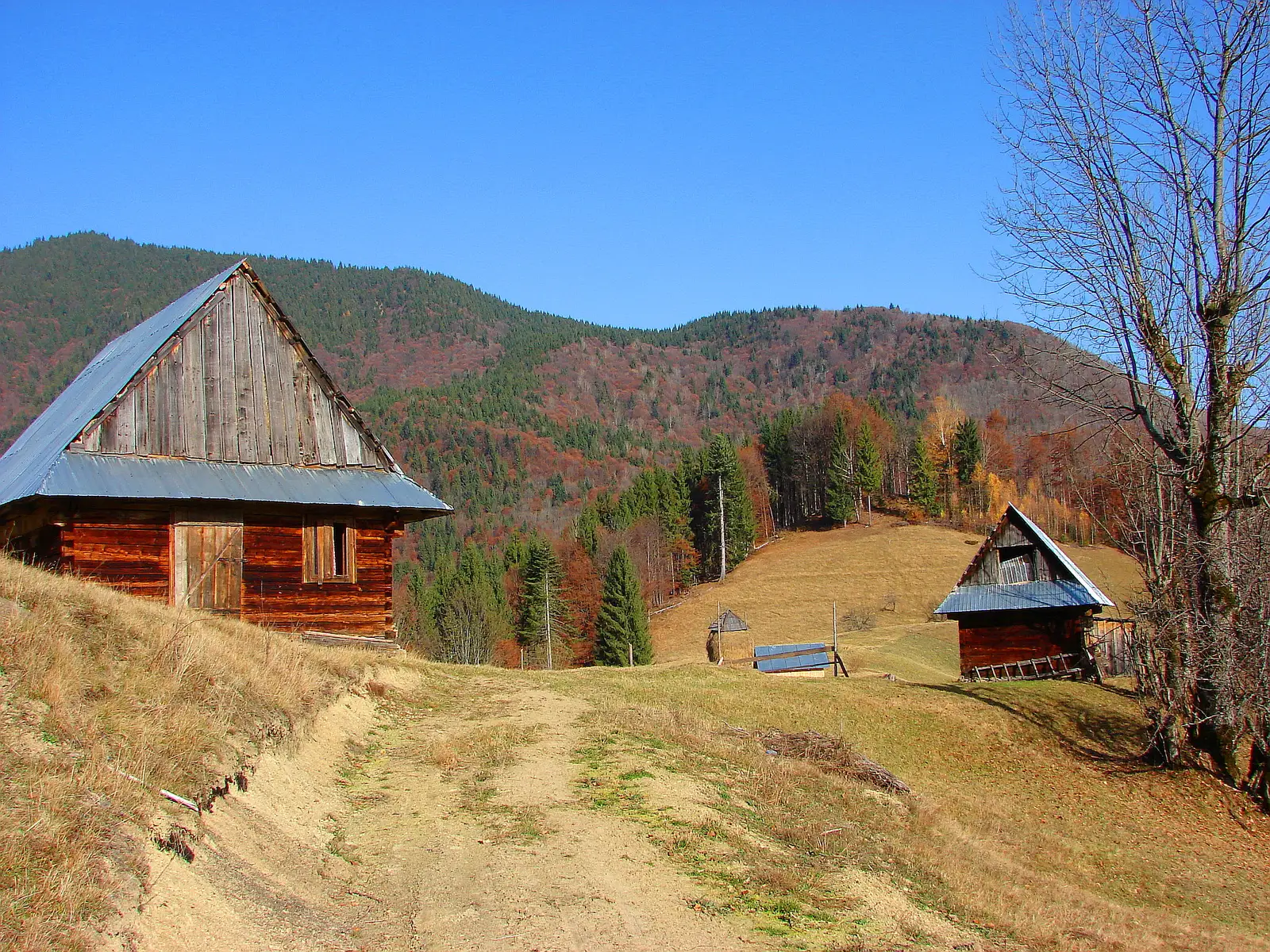 V. Vișeului - Cabana Paltin - Cantonul Silvic Repedea