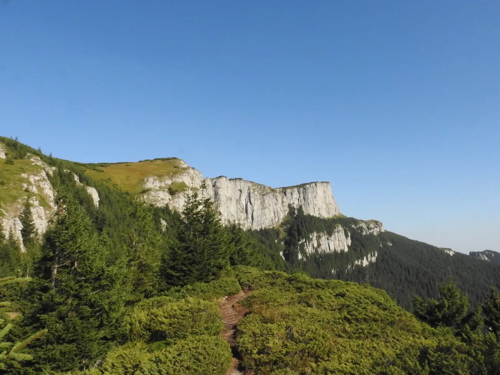 Bicazu Ardelean - Șaua la Pălărie - Cabana Dochia