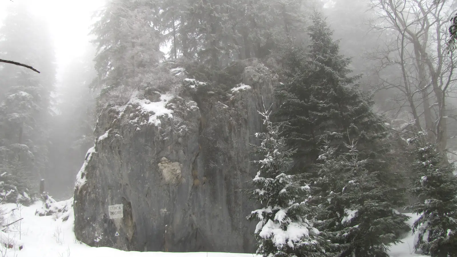 Cabana Izv. Muntelui - Stânca Dochiei - Cabana Dochia
