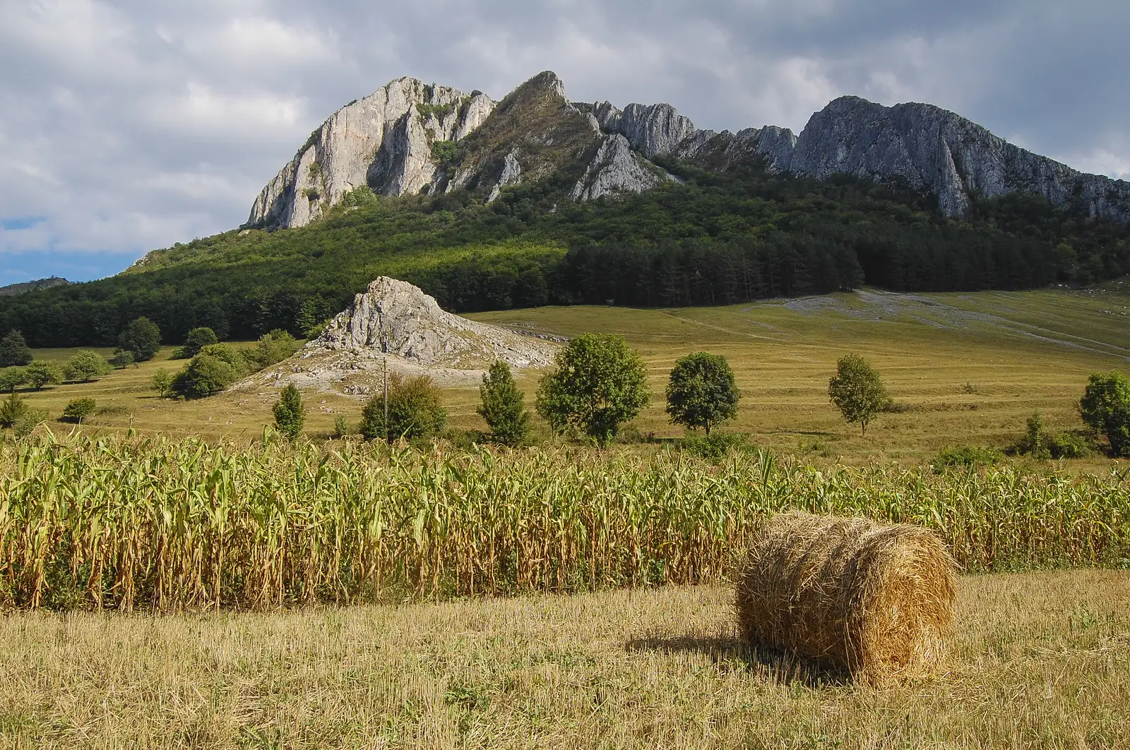Platoul Ciumerna - lângă Vf. Muncelului - Pădurea Mlaca - Poiana cu narcise de la Negrileasa - Dealul Boteșul - Dâmbul Arsurilor - Pasul Bucium\r\nCabana Râmeţ - Cheile Mănăstirii - Faţa Pietrii - Răicani - Valea Galda - lângă Piatra Bulzului - lângă P...