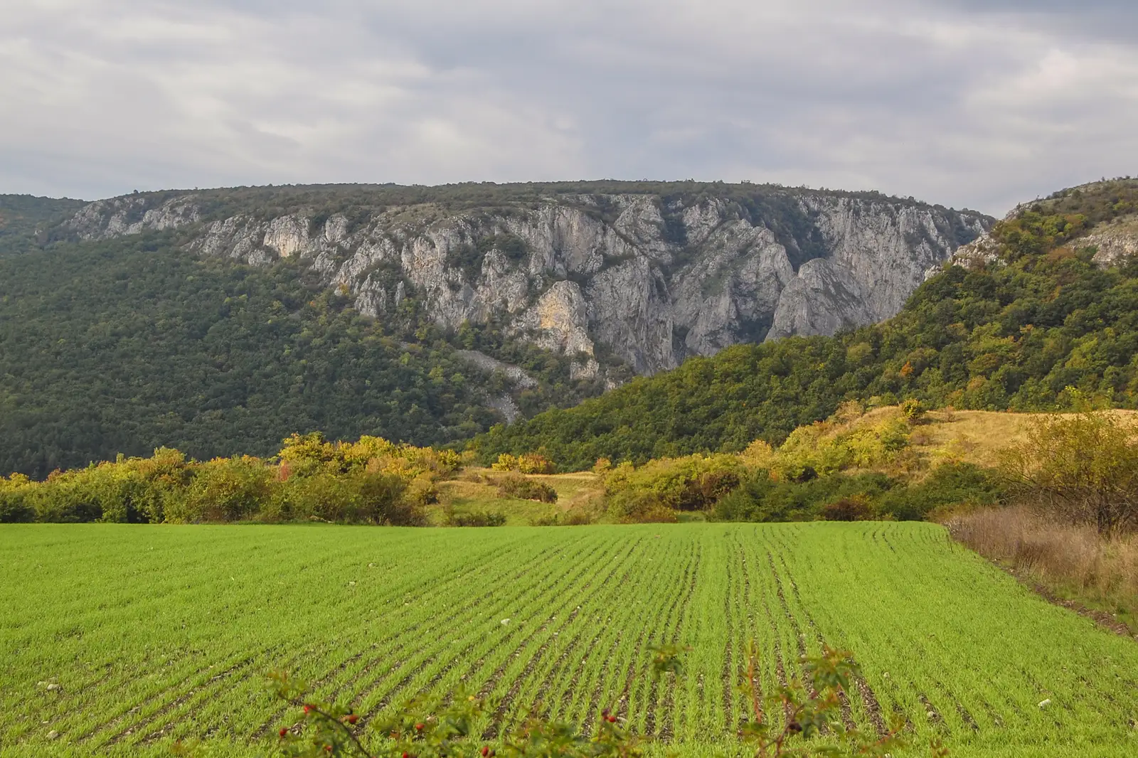 Presaca Ampoiului - Valea Ghibarţului (Bibarţului) - Peştera Şura de Piatră