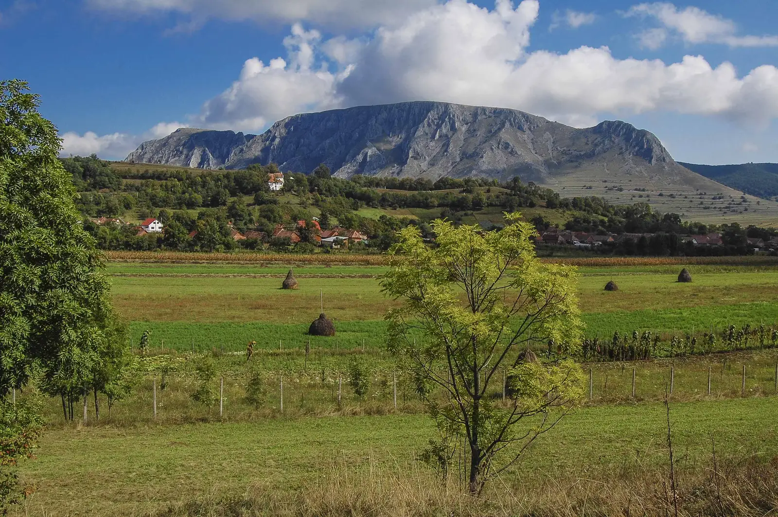 Colţești - Platoul Bedeleu - Vânătările Ponorului