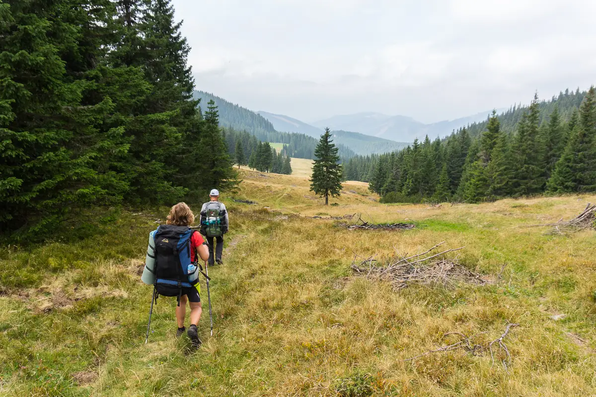Cabana Groapa Seacă - Șaua Huluzu