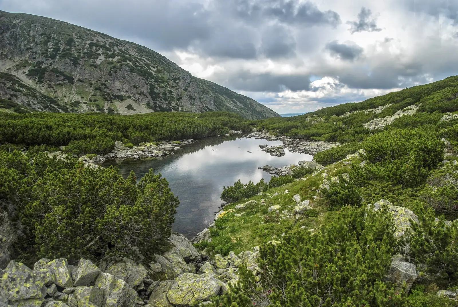 Cabana Groapa Seacă - Plaiul lui Dăncilă - Lacul Verde