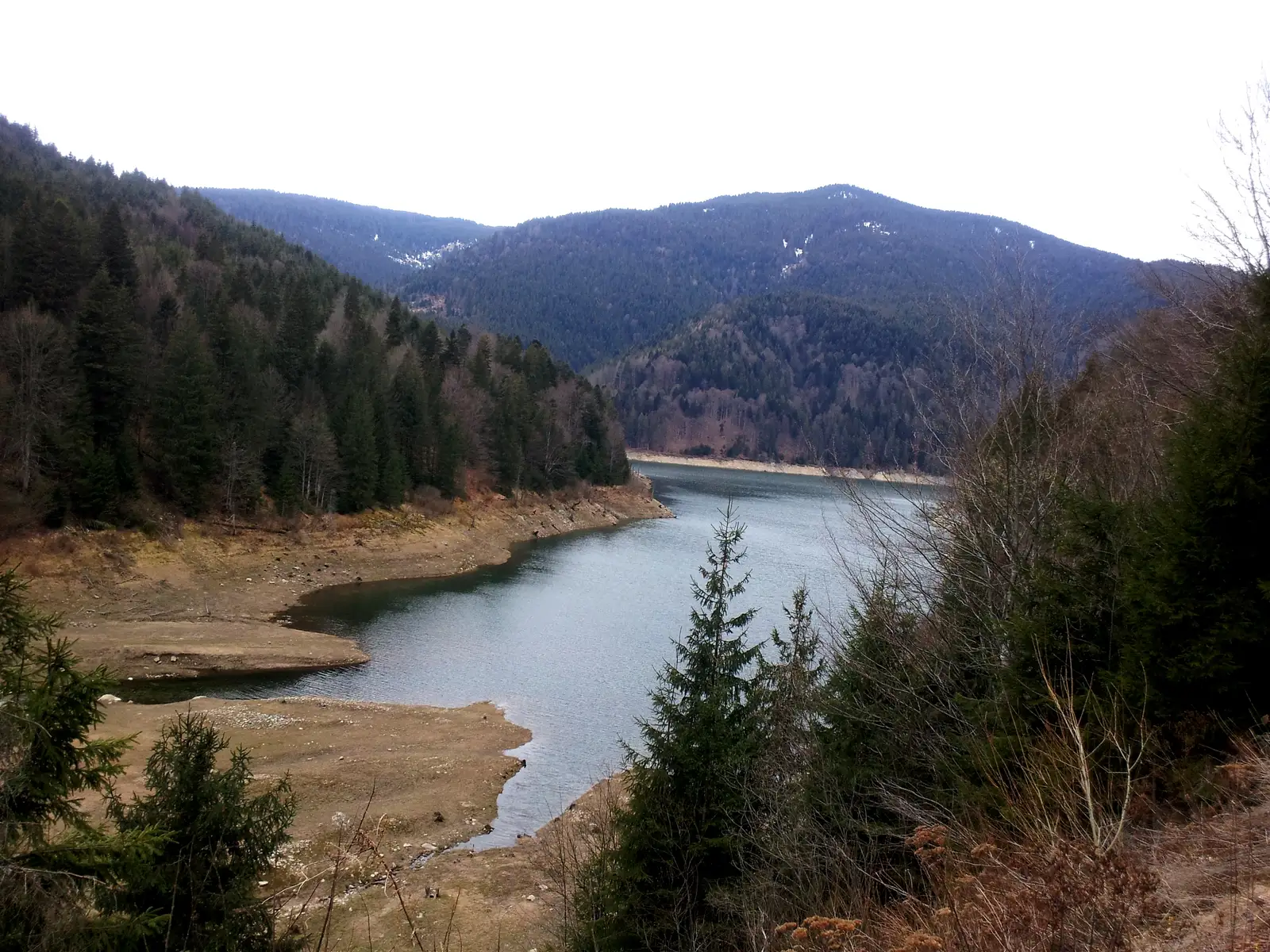 Gura Zârnii-Cabana Vlădeasa