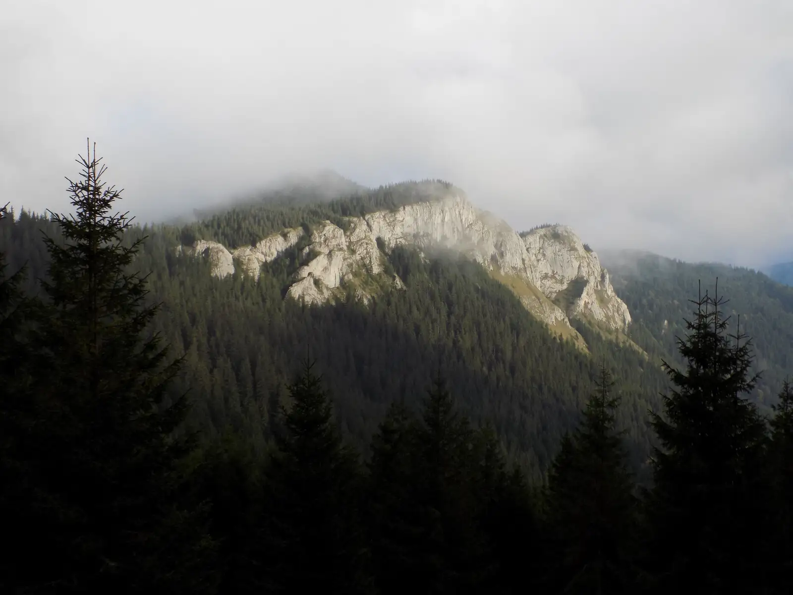 Cabana Vlădeasa-Vf. Vlădeasa-Pietrele Albe-Cabana Vlădeasa