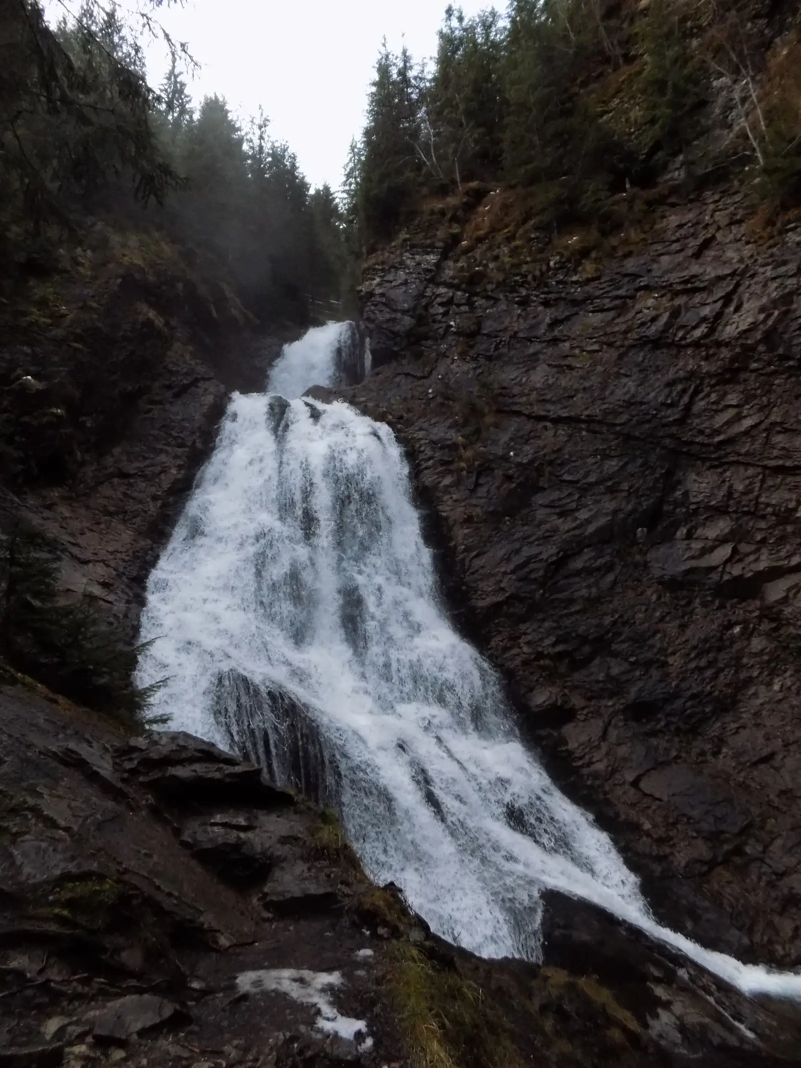 Ref. Răchiţele-Vf. Lespezi-Cascada Vălul Miresei-Ref. Răchiţele