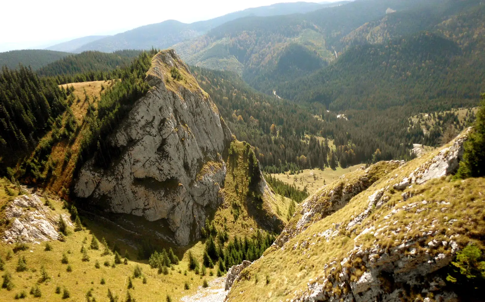 V. Seacă-Pietrele Albe-V. Seacă