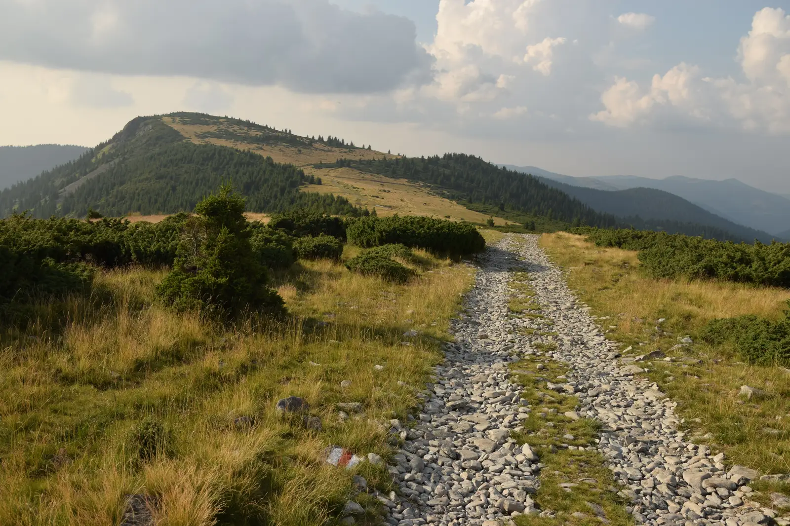 Stâna de Vale-Şaua Bohodei-Şaua Vărăşoaia