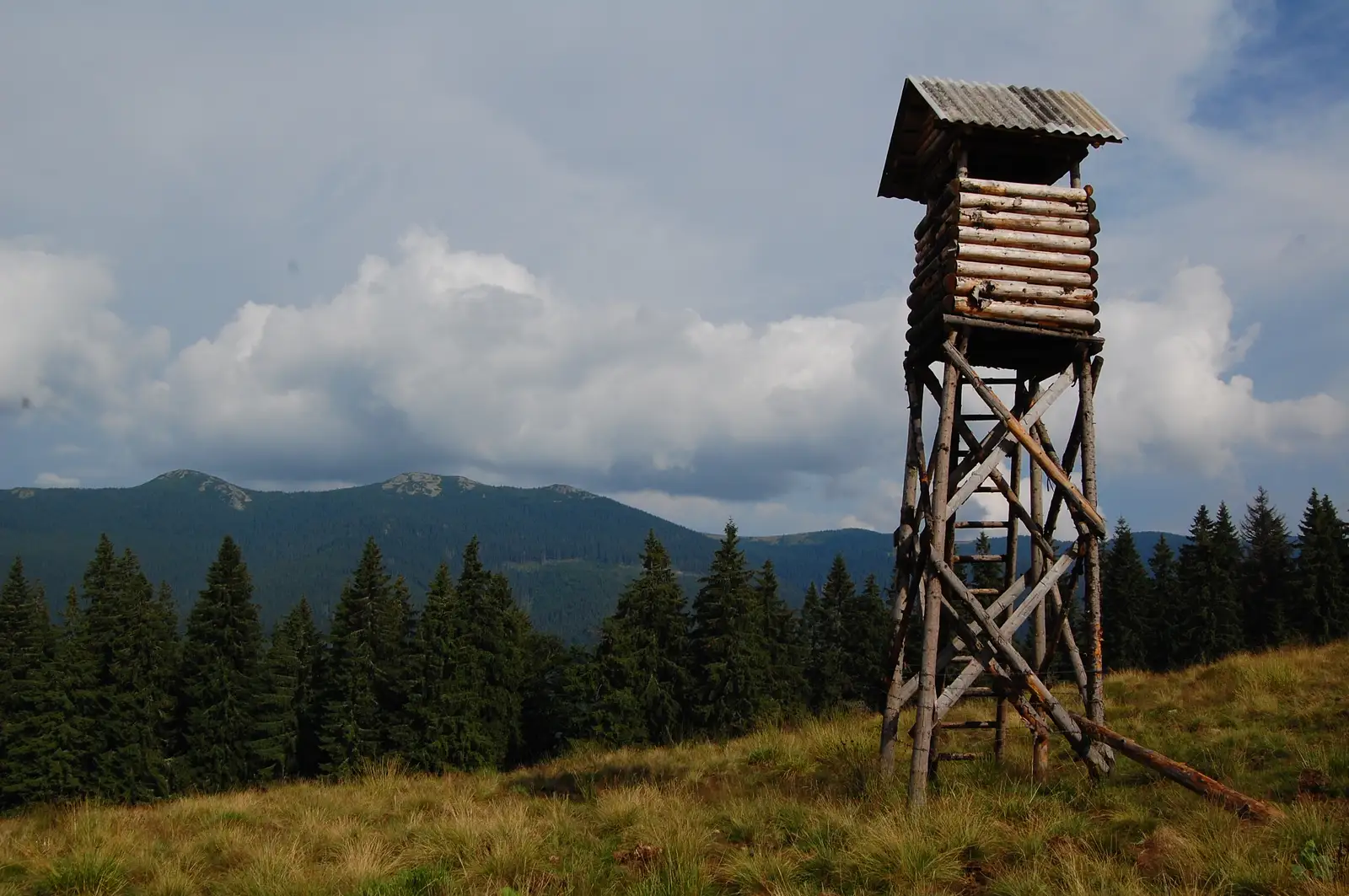 Stâna de Vale-V. Iadului-Culmea Muncelu-Stâna de Vale