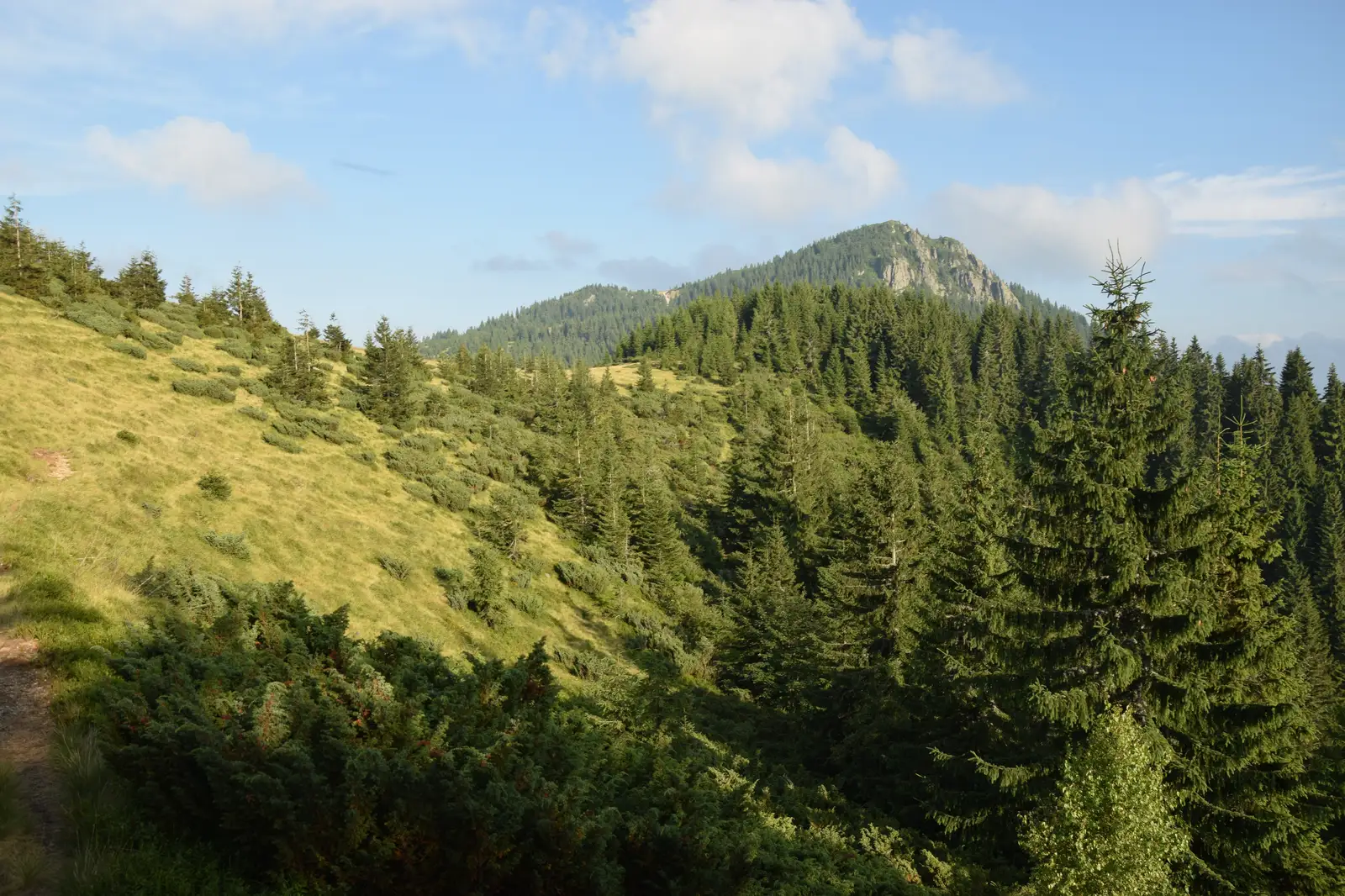 Şaua Bohodei-Vf. Custurilor-Stâna de Vale