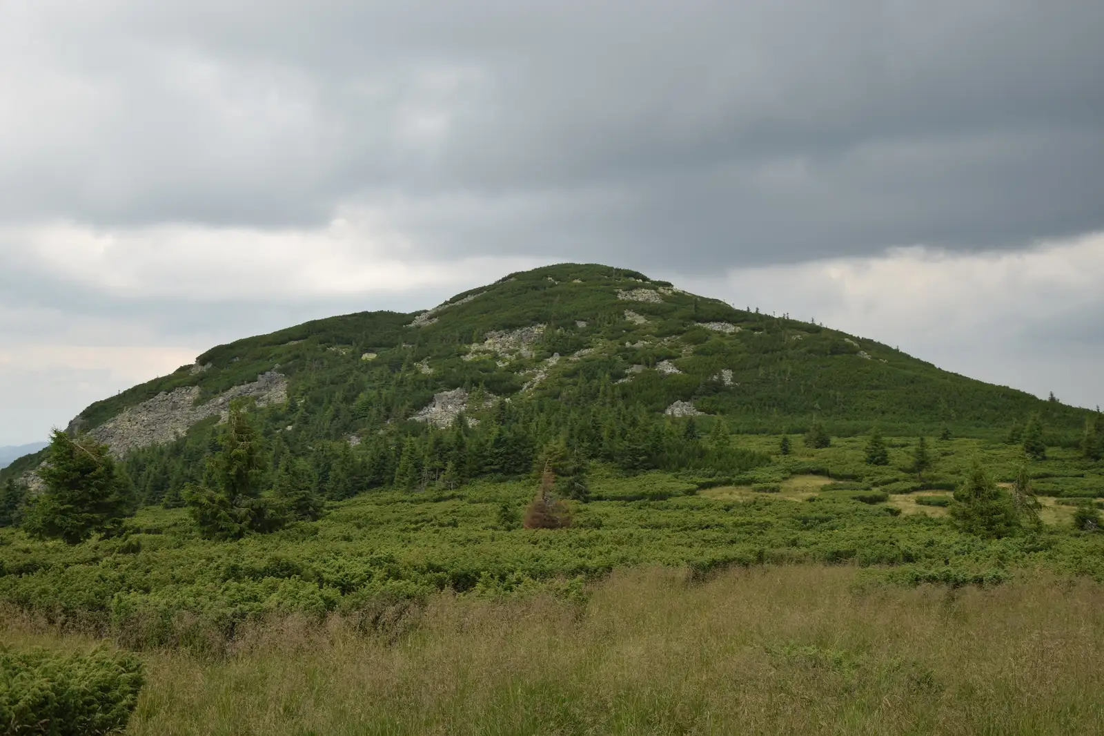 Stâna de Vale-Vf. Buteasa