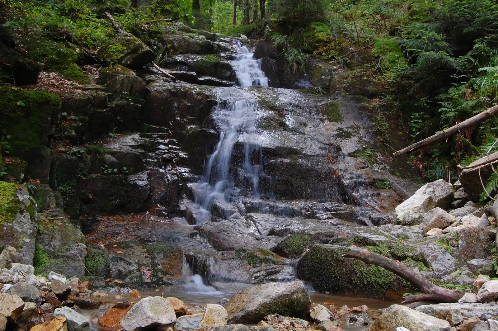 Coada Lacului Leşu-V. Runcului-V. Iadului-Coada Lacului Leşu