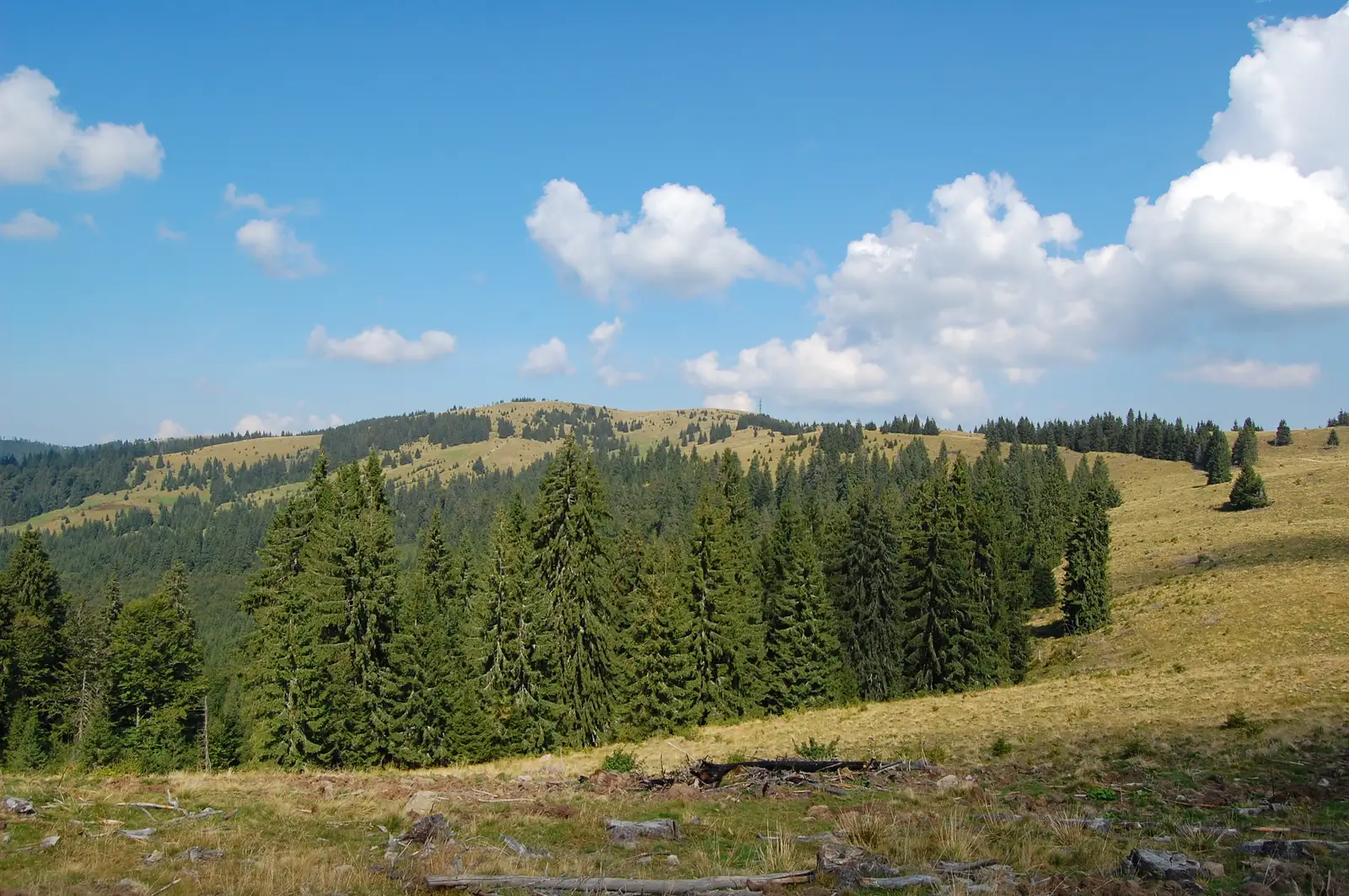 Baraj V. Leşului-Cantonul Forestier Sebeşel-Stâna de Vale