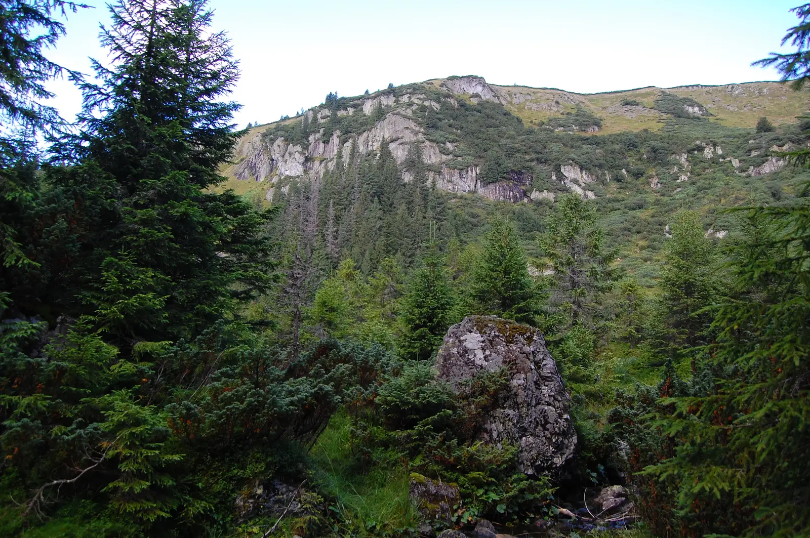 Ic Ponor-P-na Onceasa-Fântâna Rece