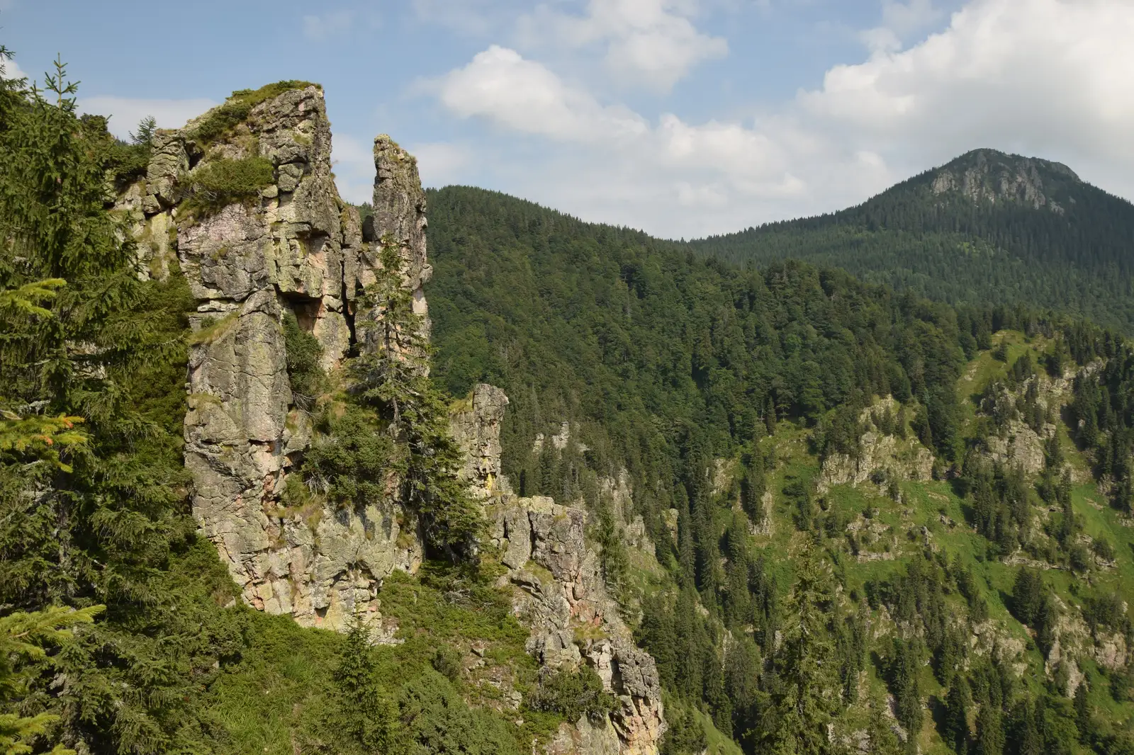 Valea Aleului-Stâncile lui Hercules-Şaua Bohodei