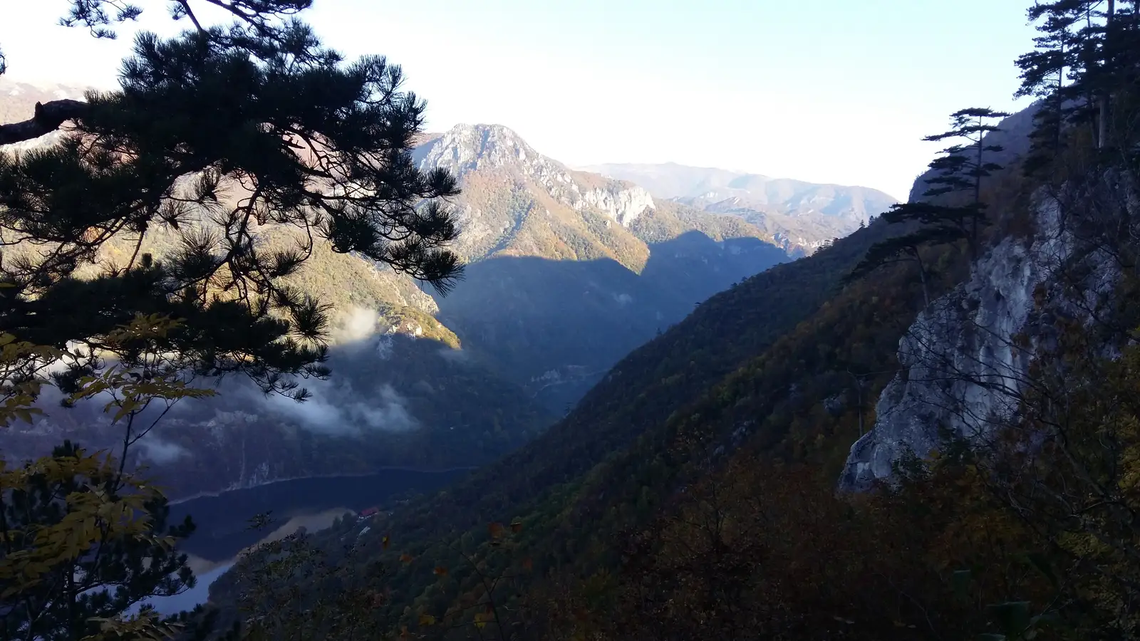 Intersecţie traseu TA (sub vârful Cociu) - Gornenţ