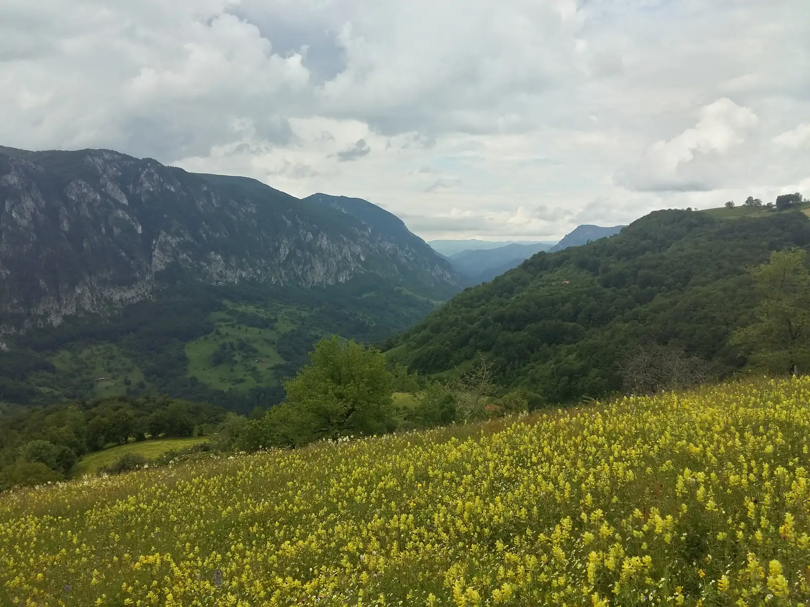 Băile Herculane - Izvorul Diana III